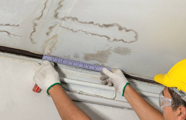 Affordable Ceiling Water Damage Repair solutions in Pease, MN